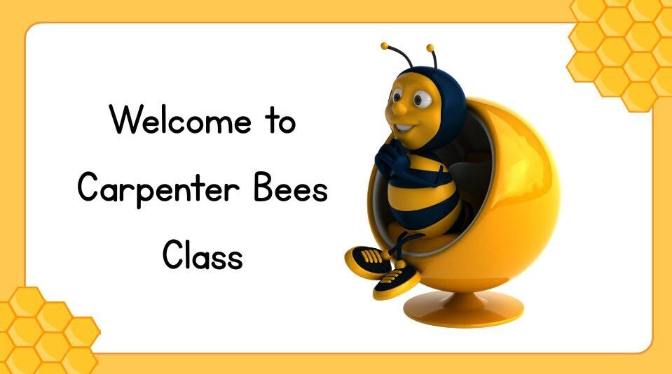 cropped-cropped-Carpenter-Bees-Class-1-1.jpg
